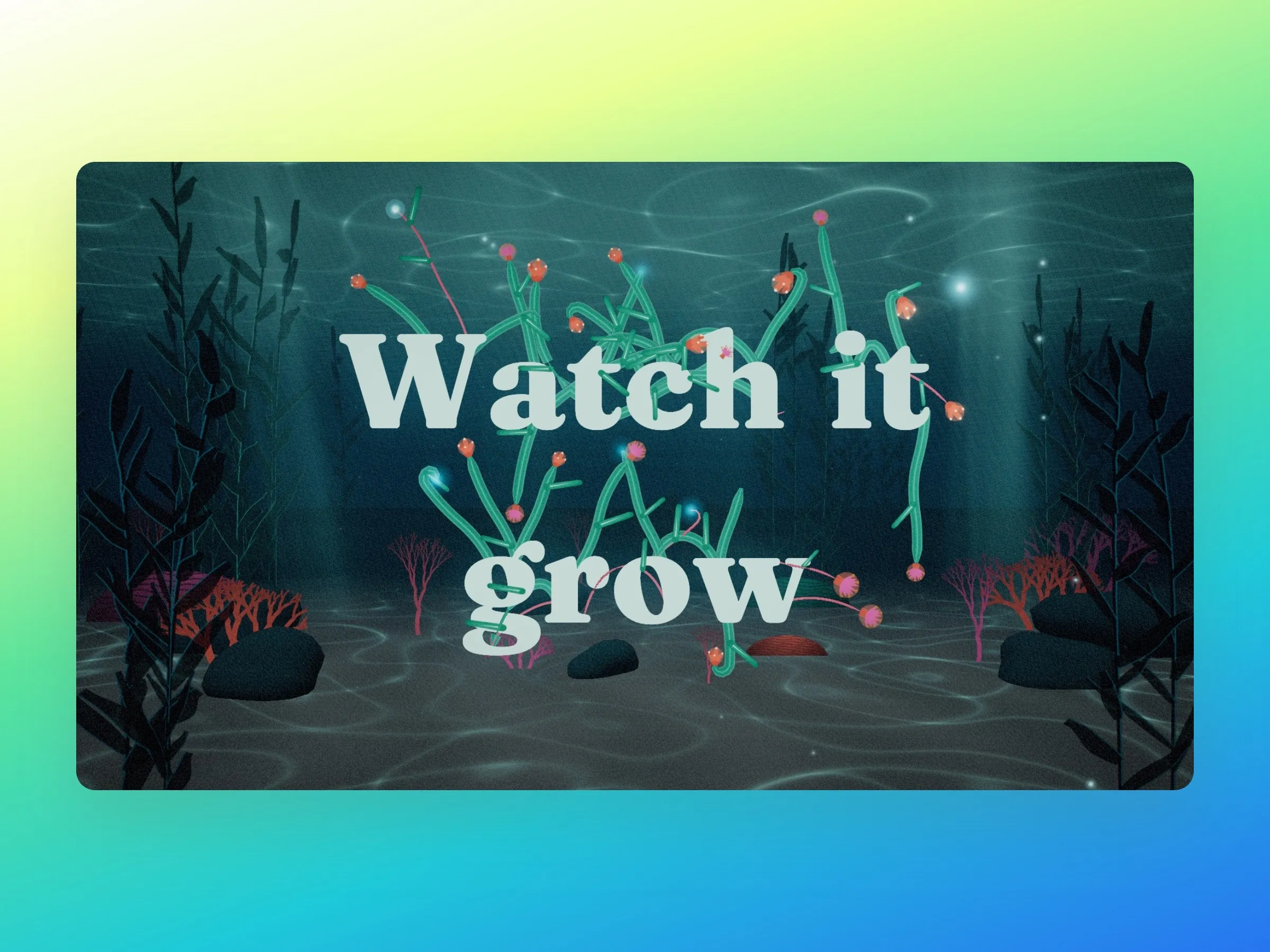 The same message, “Watch it grow”, in the Deep Reef: pale serif letters with green kelp and coral flowers growing through them, rocks and coral on a sandy floor under rippling light.